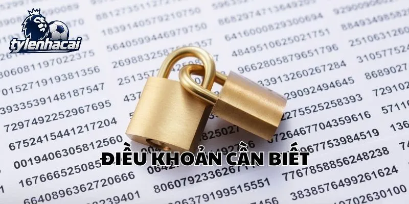 dieu khoan dieu kien Những nội dung quan trọng trong Điều Khoản Điều Kiện Tỷ Lệ Kèo
